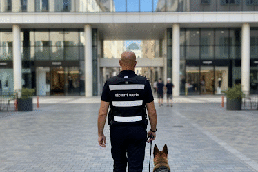 Société de gardiennage avec agents cynophiles à Perpignan: votre solution de sécurité résidentielle