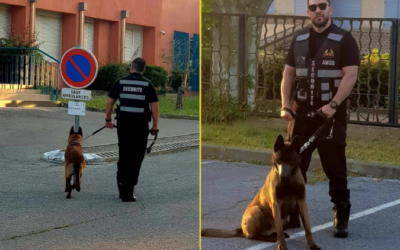 Agent cynophile à Perpignan — Maître-chien AMGS Occitanie